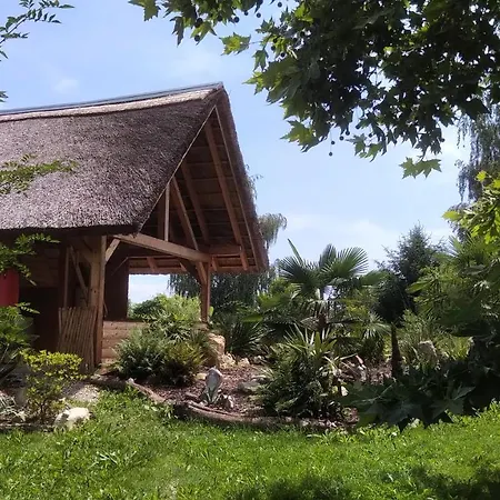 Glamping For Couples In Tent, Camp Eucalyptus Slovenia (adults Only) Luksustelt