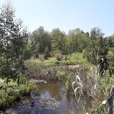 Glamping For Couples In Tent, Camp Eucalyptus Slovenia (adults Only)