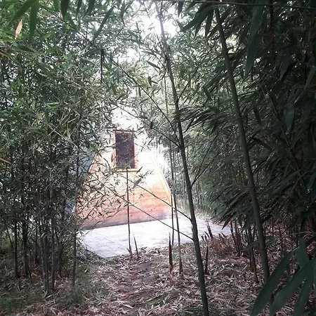 Glamping For Couples In Tent, Camp Eucalyptus Slovenia (adults Only) Kapele