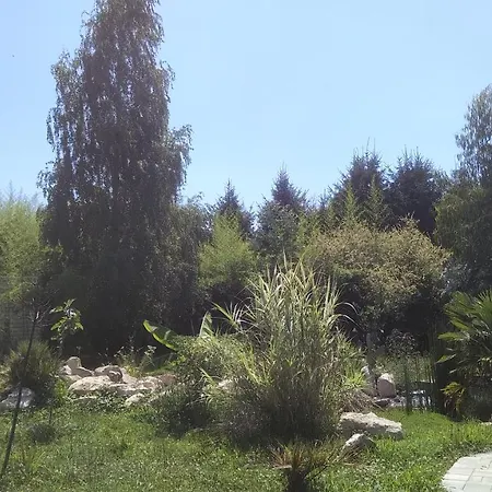 Glamping For Couples In Tent, Camp Eucalyptus Slovenia (adults Only) Luksustelt