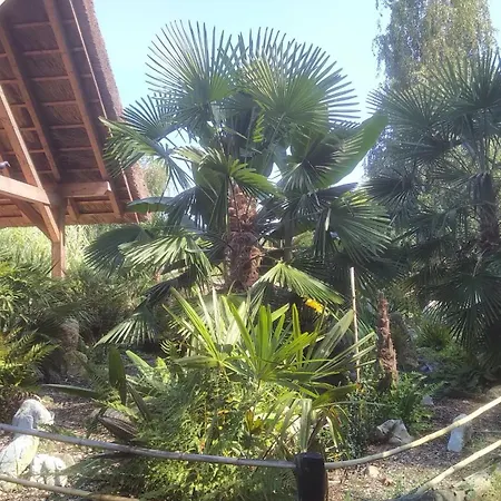 Glamping For Couples In Tent, Camp Eucalyptus Slovenia (adults Only) * Kapele